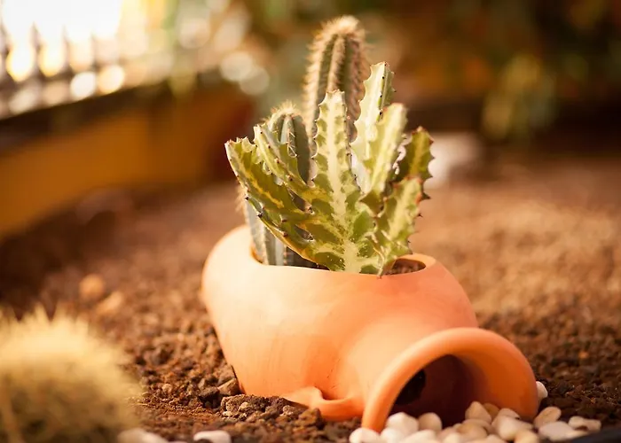 El Marques Palace By Intercorp Group Ξενοδοχείο με διαμερίσματα Acantilado de los Gigantes