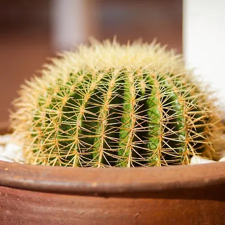 El Marques Palace By Intercorp Group 4*