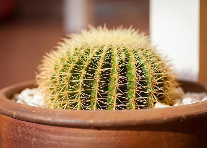 El Marques Palace By Intercorp Group 4*